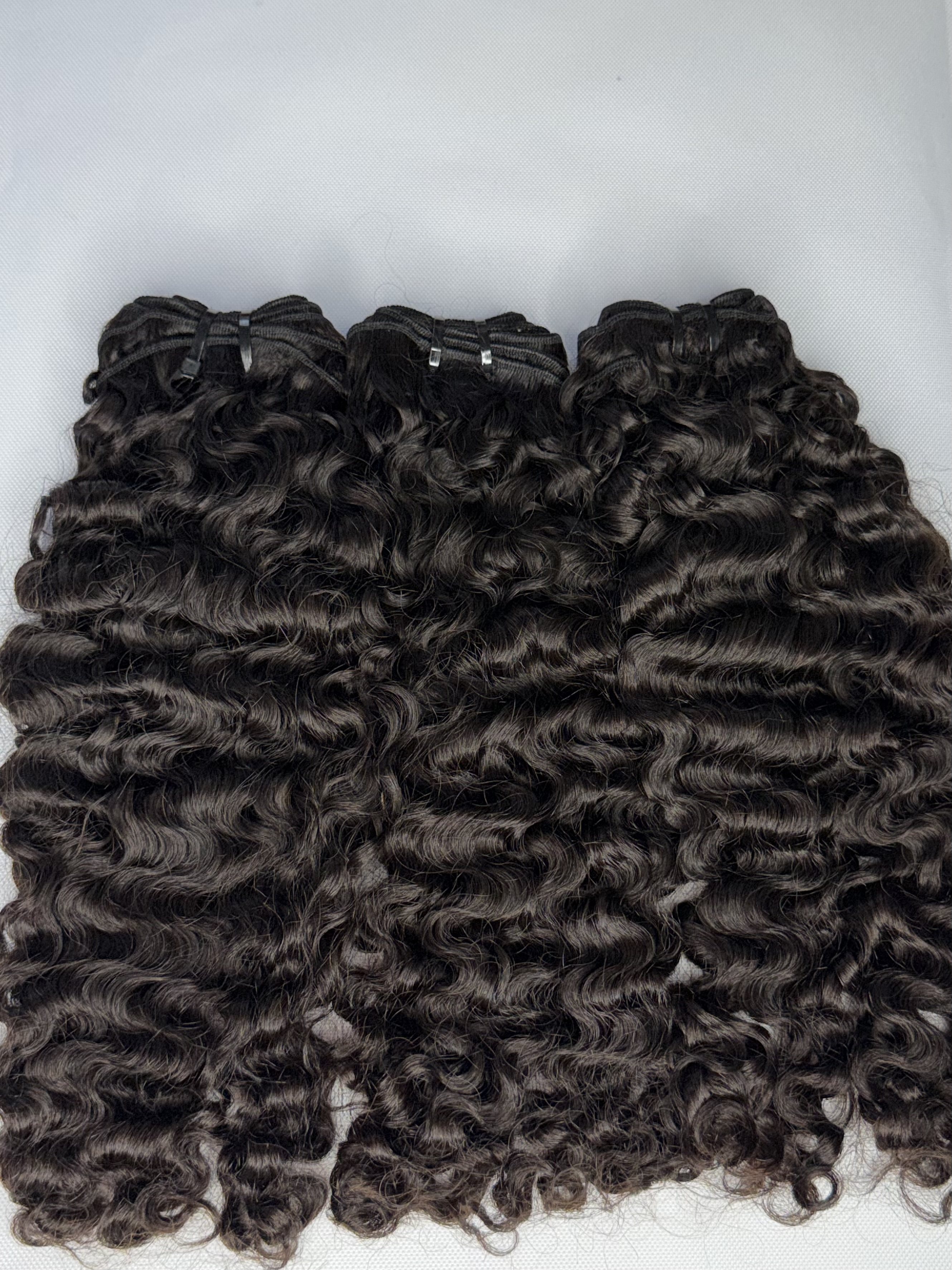 Raw Vietnamese Burmese Curly